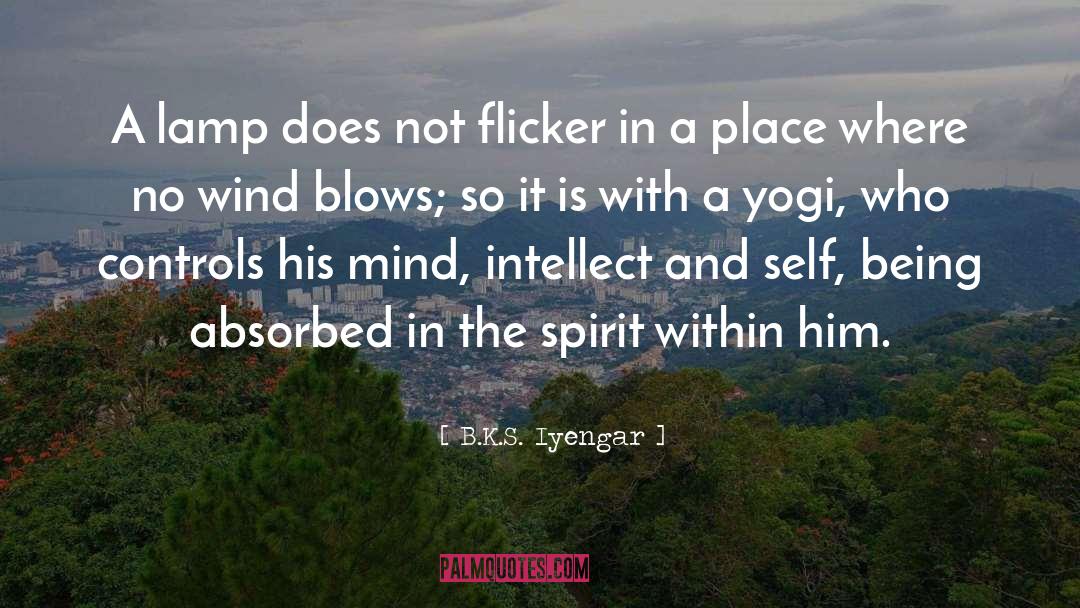 B.K.S. Iyengar Quotes: A lamp does not flicker