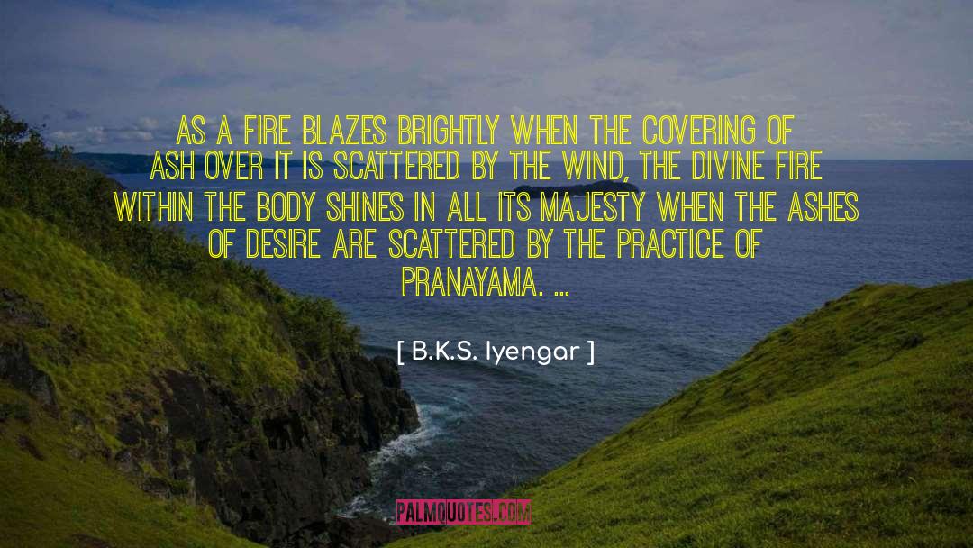 B.K.S. Iyengar Quotes: As a fire blazes brightly