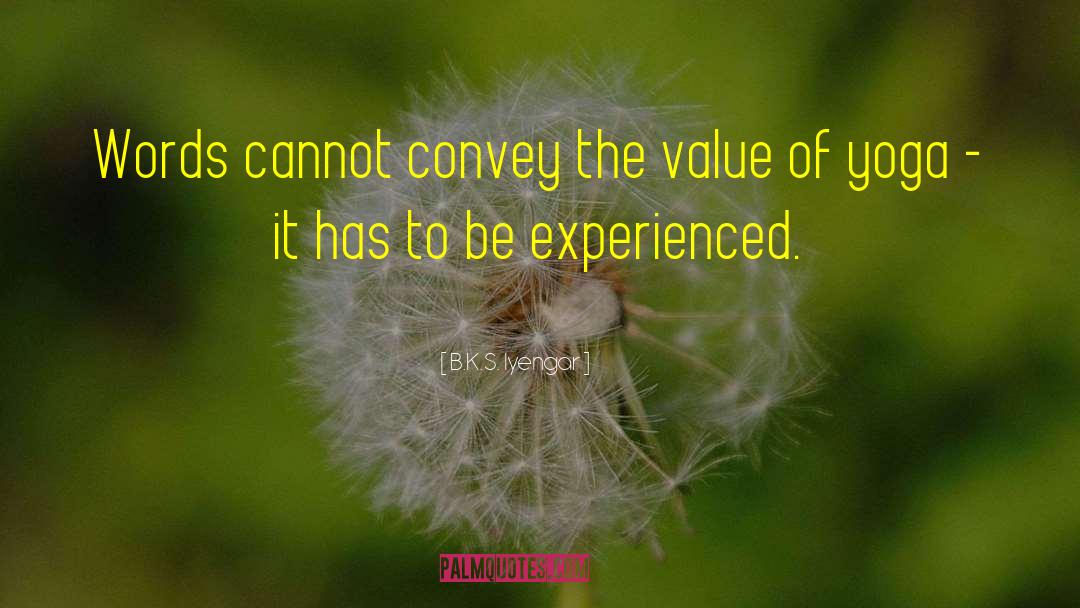 B.K.S. Iyengar Quotes: Words cannot convey the value