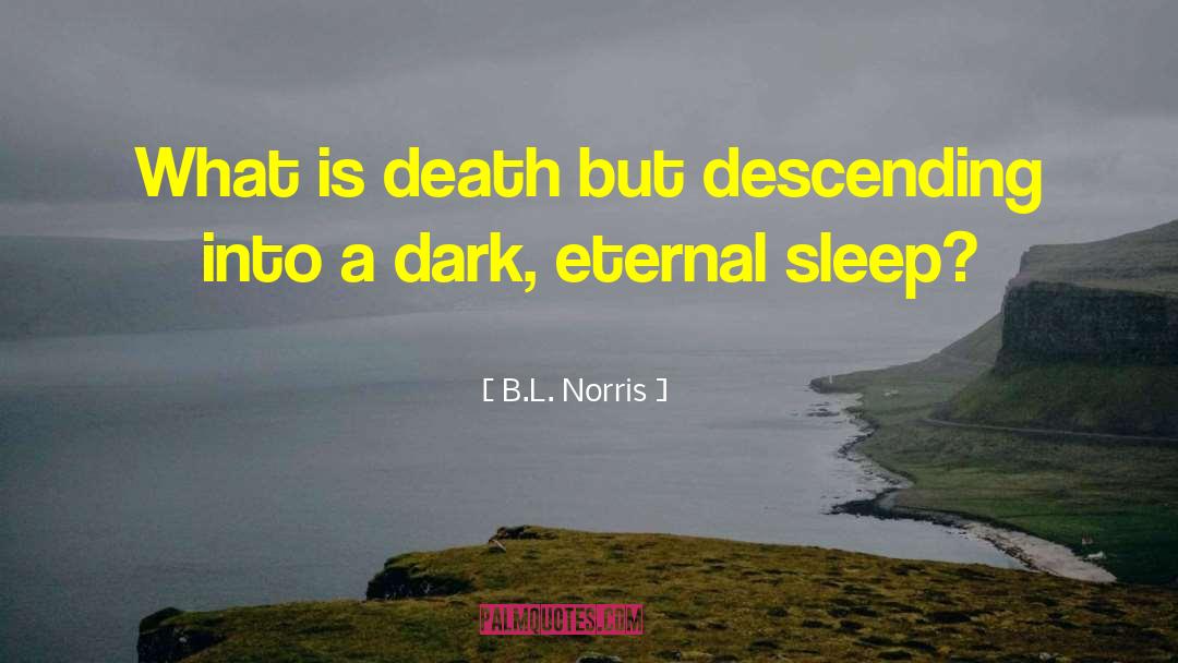 B.L. Norris Quotes: What is death but descending