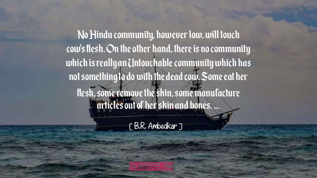 B.R. Ambedkar Quotes: No Hindu community, however low,