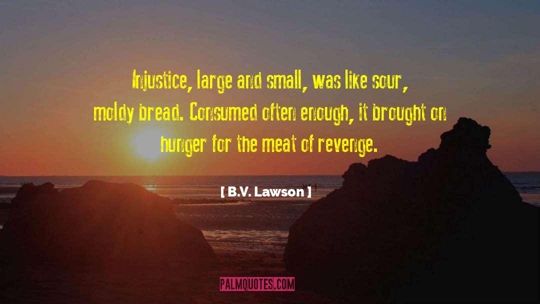 B.V. Lawson Quotes: Injustice, large and small, was