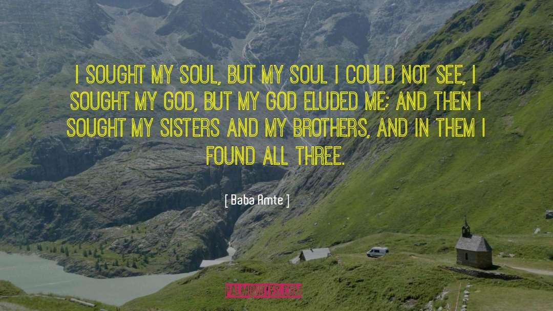 Baba Amte Quotes: I sought my soul, but