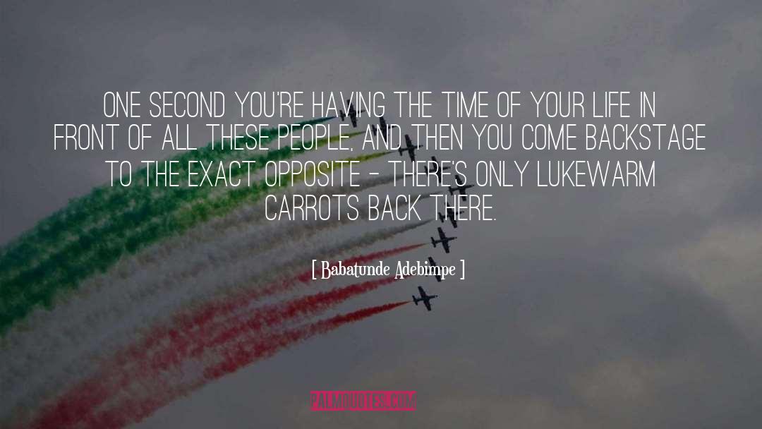 Babatunde Adebimpe Quotes: One second you're having the