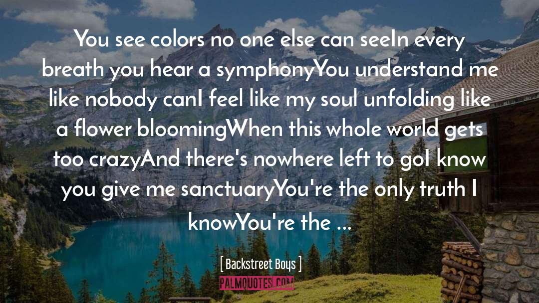 Backstreet Boys Quotes: You see colors no one