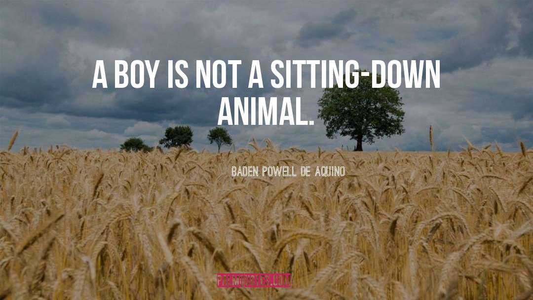 Baden Powell De Aquino Quotes: A boy is not a