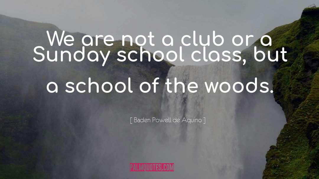 Baden Powell De Aquino Quotes: We are not a club
