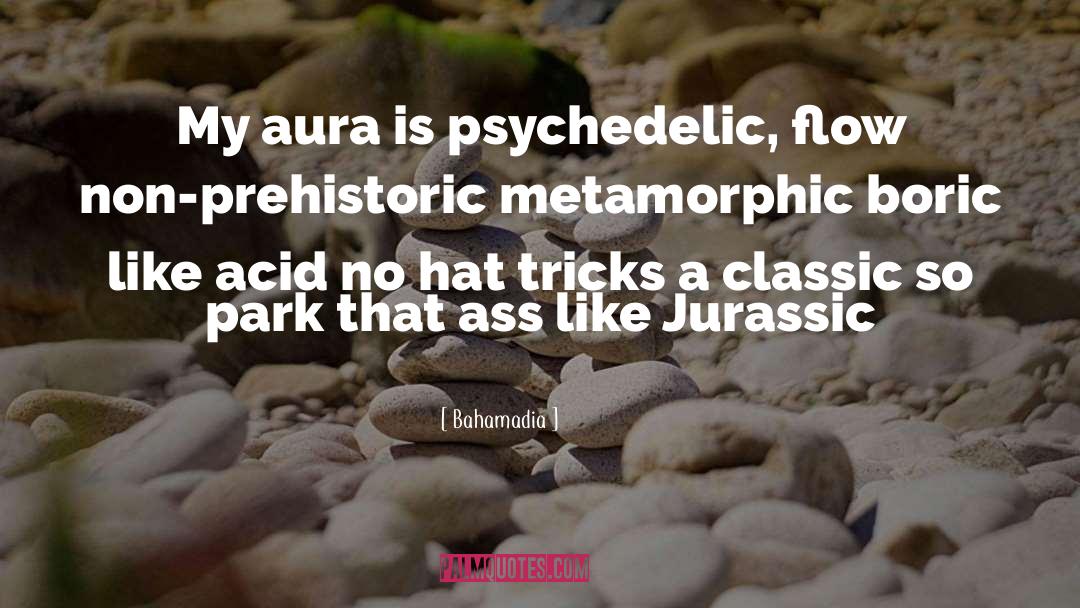 Bahamadia Quotes: My aura is psychedelic, flow