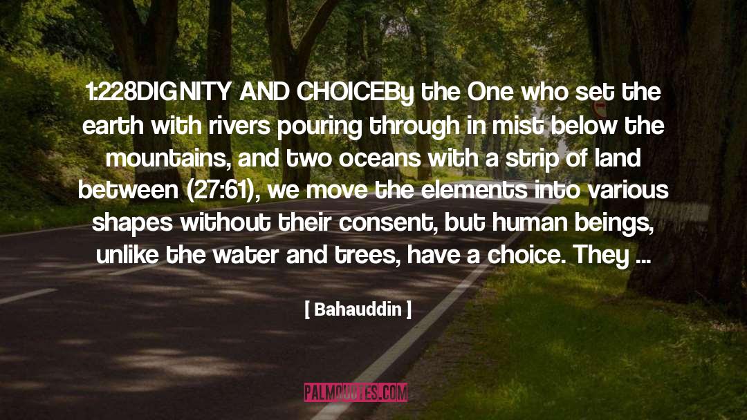 Bahauddin Quotes: 1:228<br />DIGNITY AND CHOICE<br /><br
