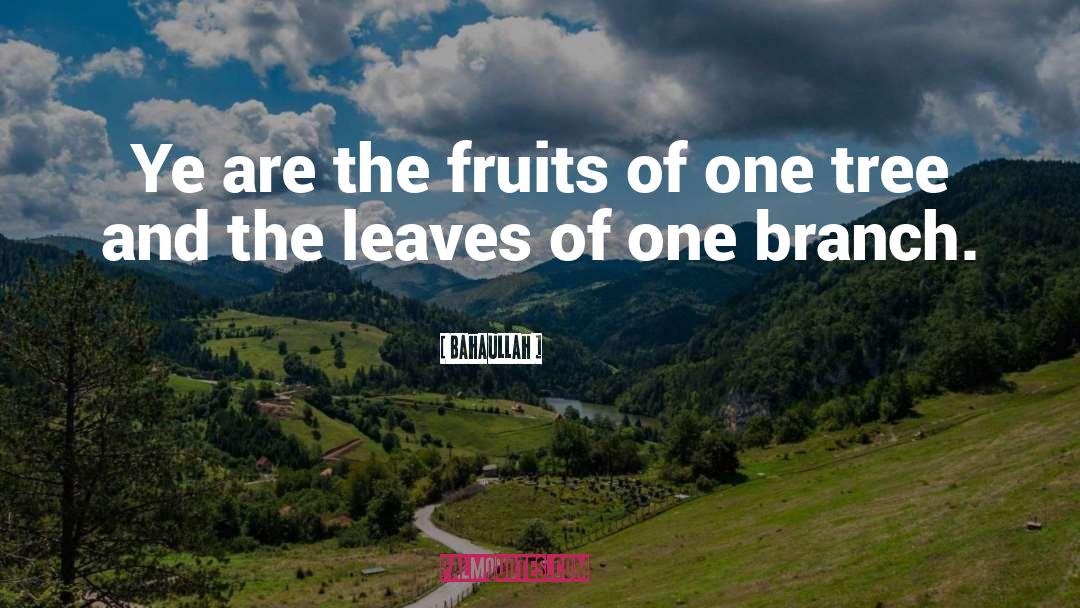 Bahaullah Quotes: Ye are the fruits of