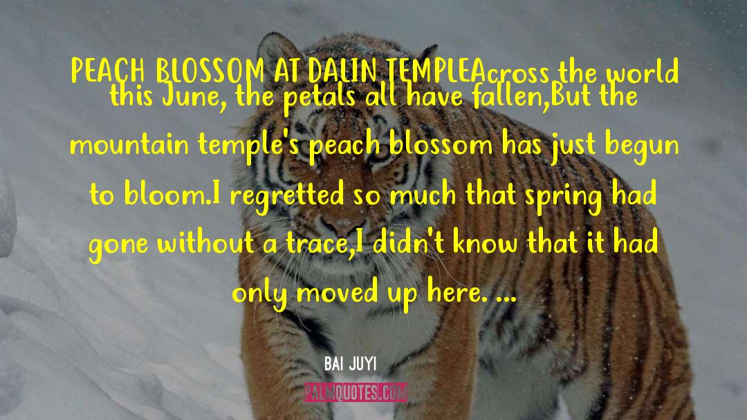 Bai Juyi Quotes: PEACH BLOSSOM AT DALIN TEMPLE<br