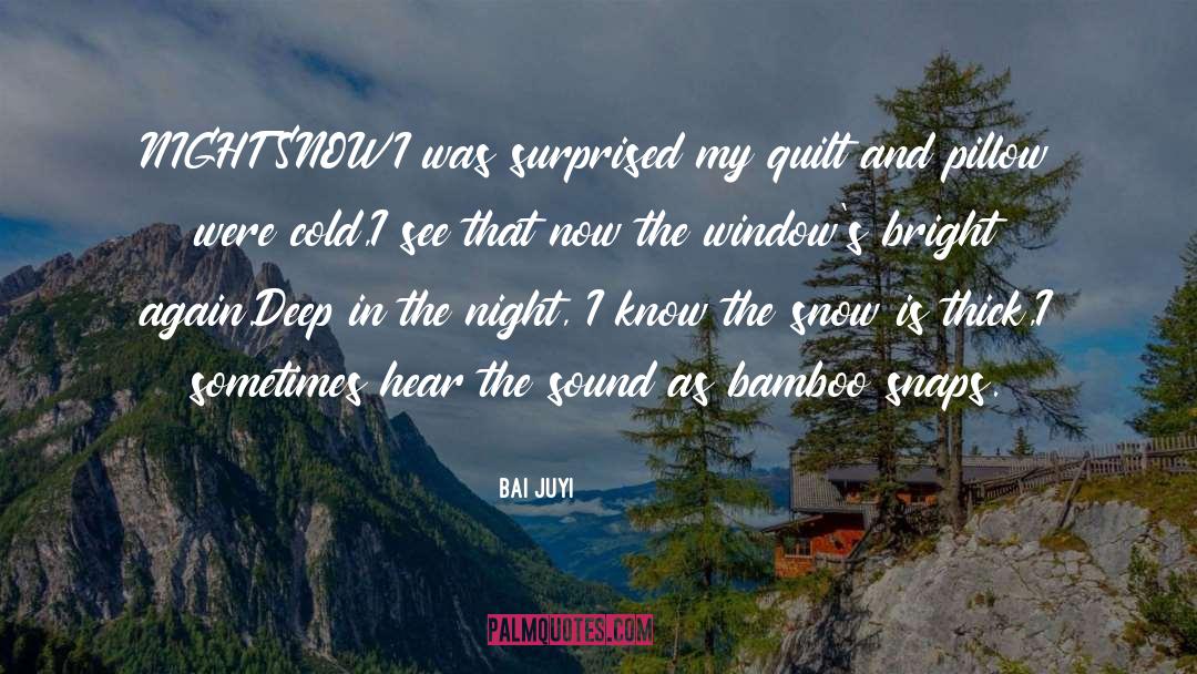Bai Juyi Quotes: NIGHT SNOW<br /><br />I was