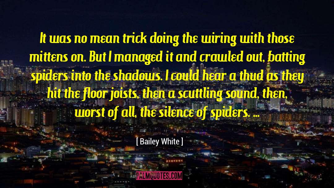 Bailey White Quotes: It was no mean trick