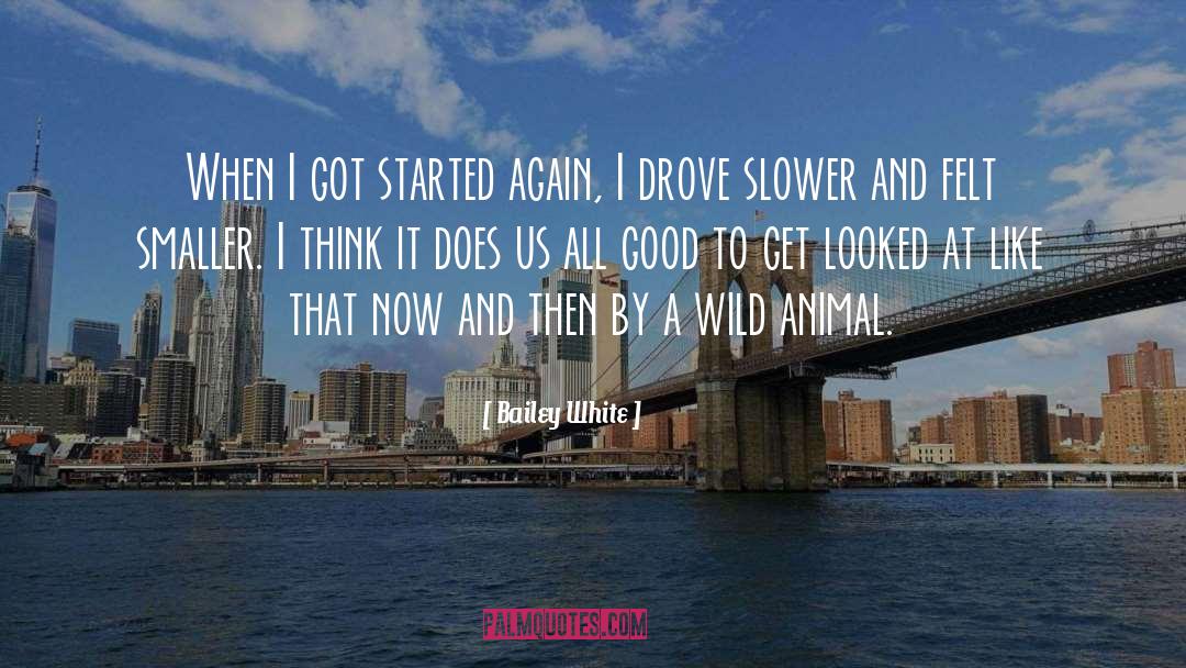 Bailey White Quotes: When I got started again,