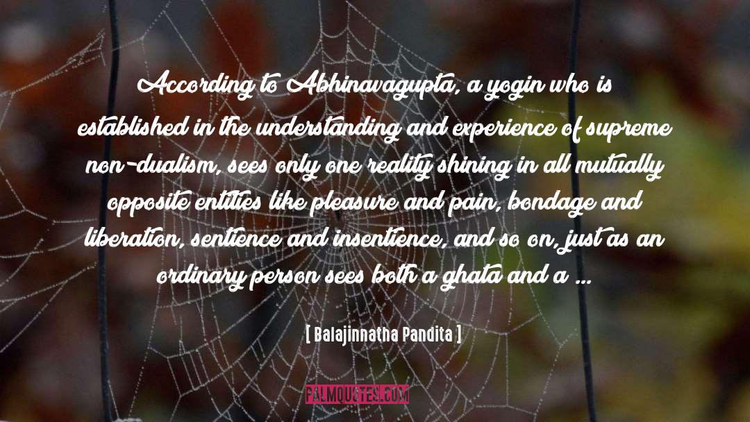 Balajinnatha Pandita Quotes: According to Abhinavagupta, a yogin