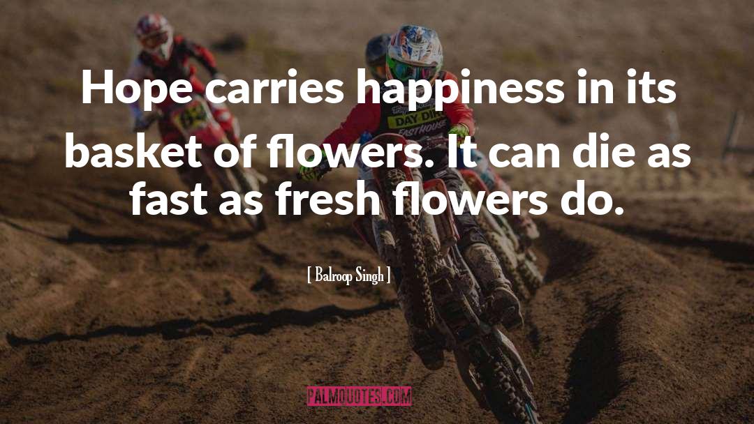 Balroop Singh Quotes: Hope carries happiness in its