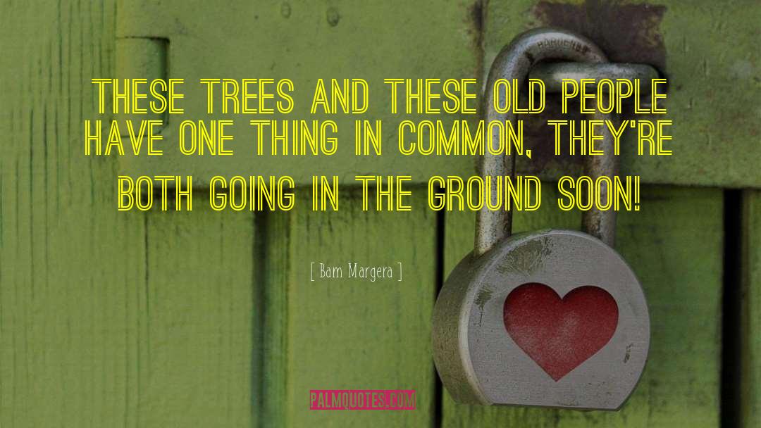 Bam Margera Quotes: These trees and these old