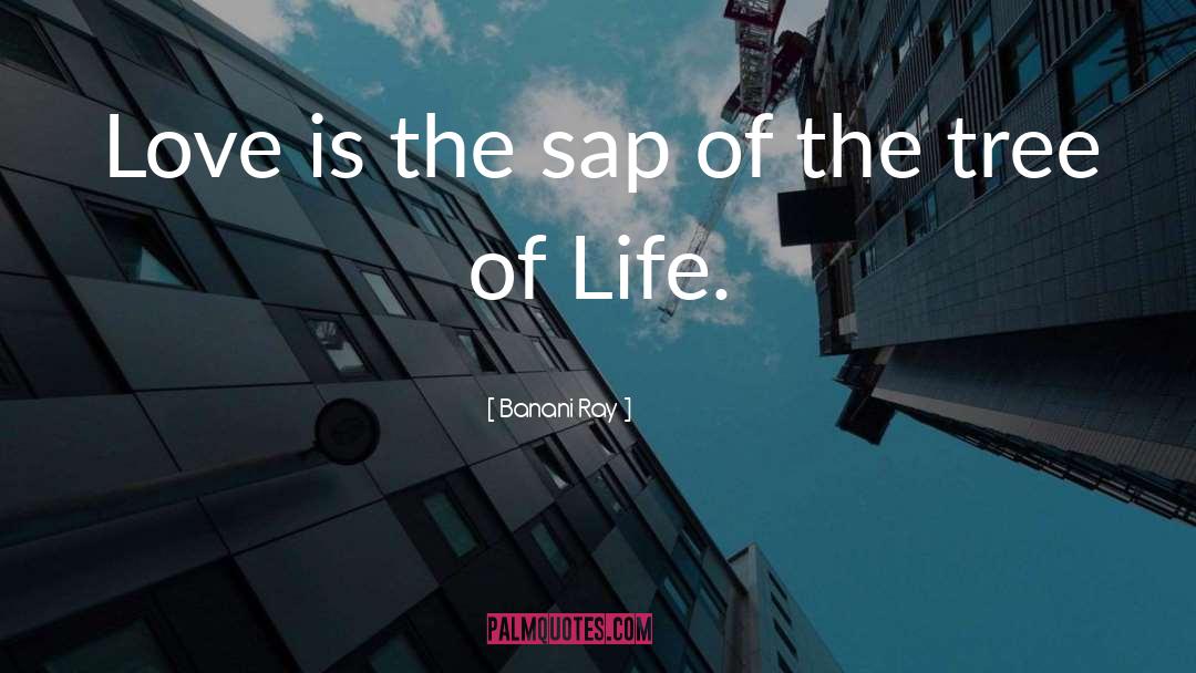 Banani Ray Quotes: Love is the sap of