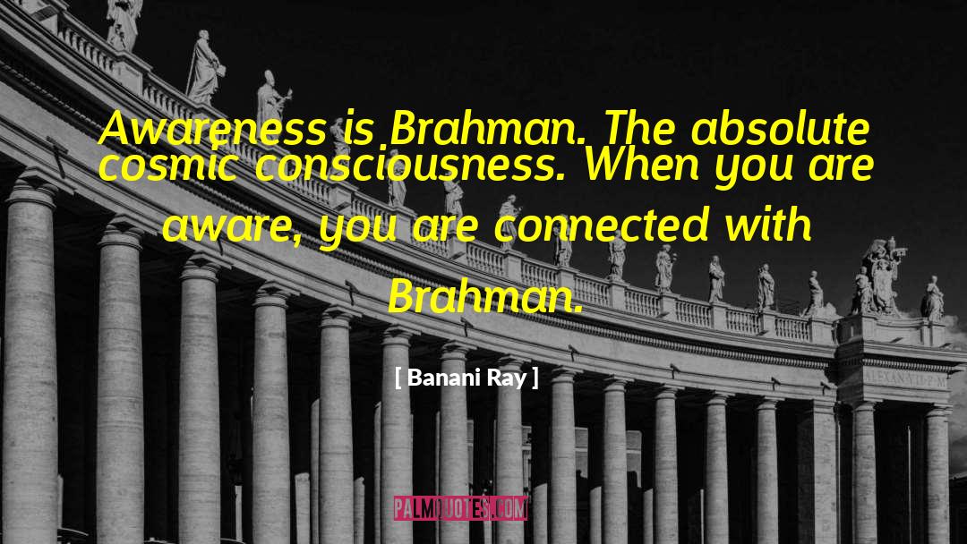 Banani Ray Quotes: Awareness is Brahman. The absolute