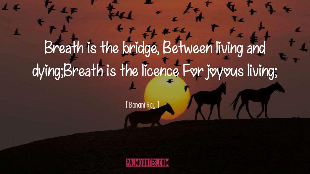 Banani Ray Quotes: Breath is the bridge, <br