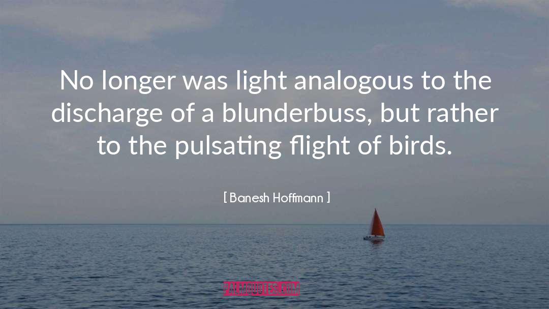 Banesh Hoffmann Quotes: No longer was light analogous