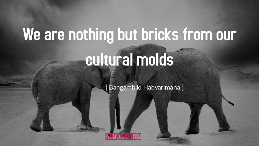 Bangambiki Habyarimana Quotes: We are nothing but bricks