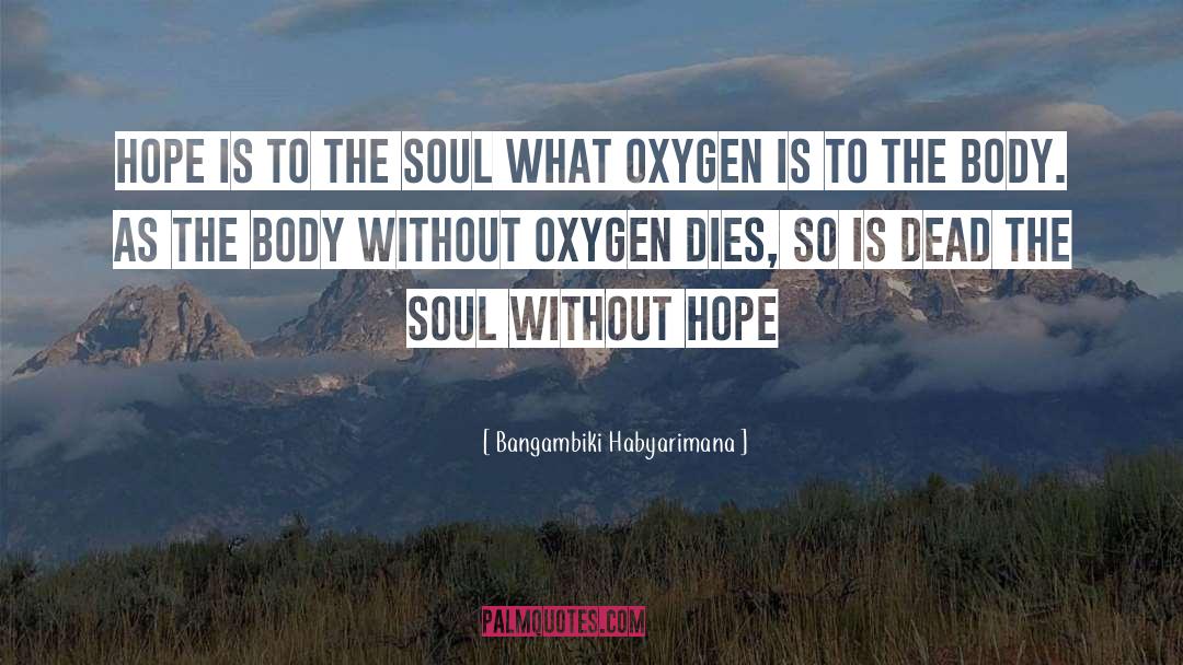 Bangambiki Habyarimana Quotes: Hope is to the soul