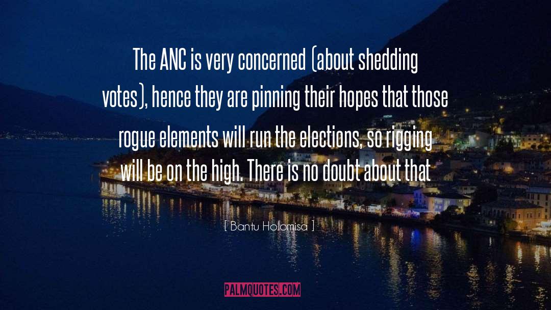 Bantu Holomisa Quotes: The ANC is very concerned