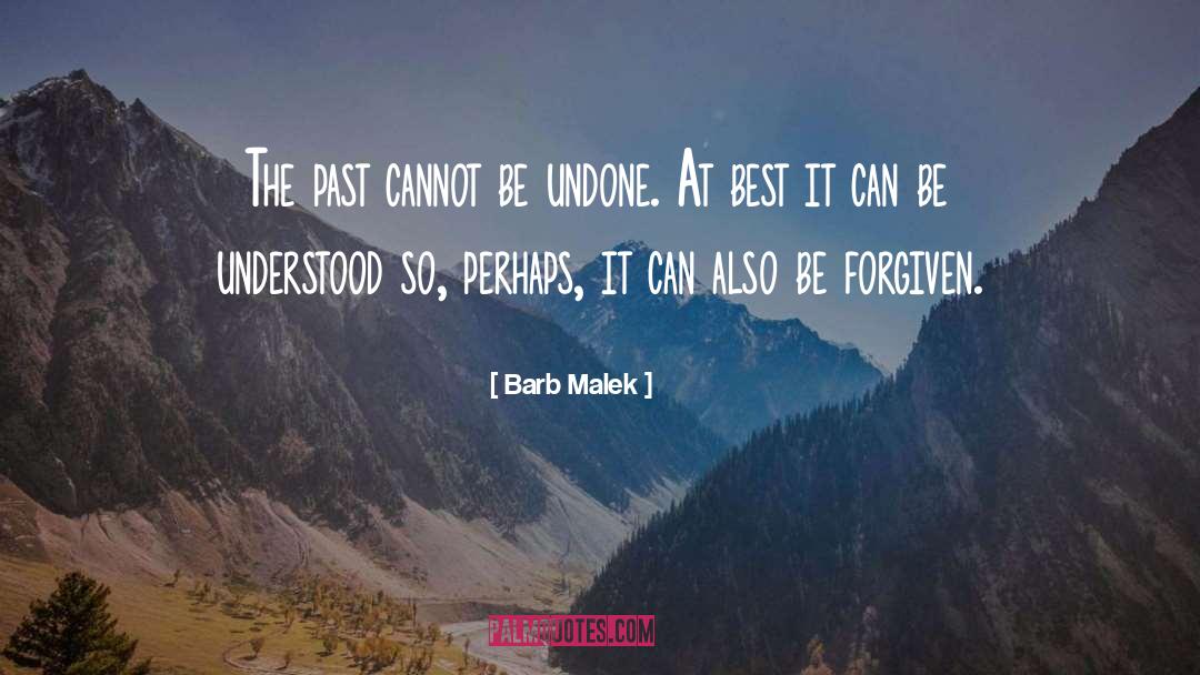 Barb Malek Quotes: The past cannot be undone.