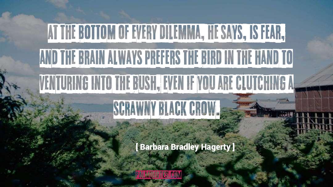 Barbara Bradley Hagerty Quotes: At the bottom of every