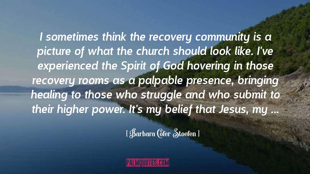 Barbara Cofer Stoefen Quotes: I sometimes think the recovery