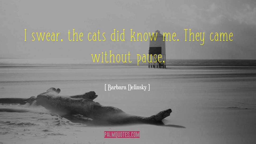 Barbara Delinsky Quotes: I swear, the cats did