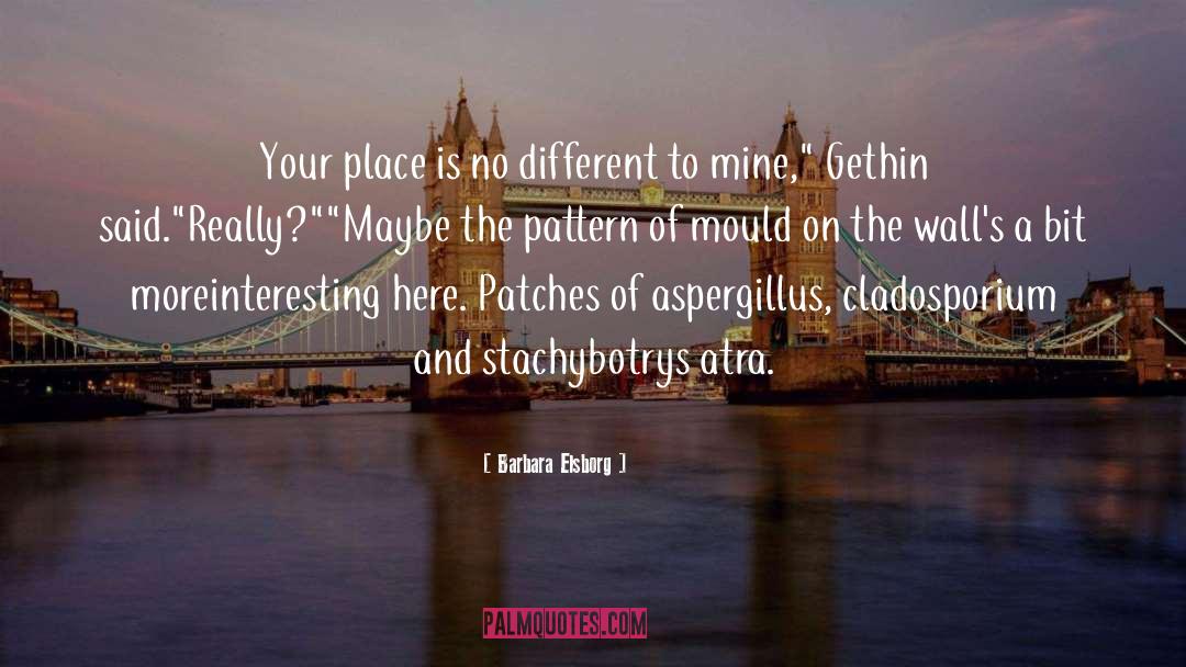 Barbara Elsborg Quotes: Your place is no different