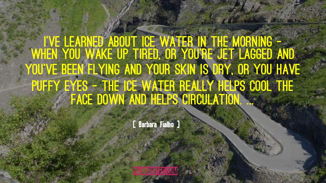 Barbara Fialho Quotes: I've learned about ice water