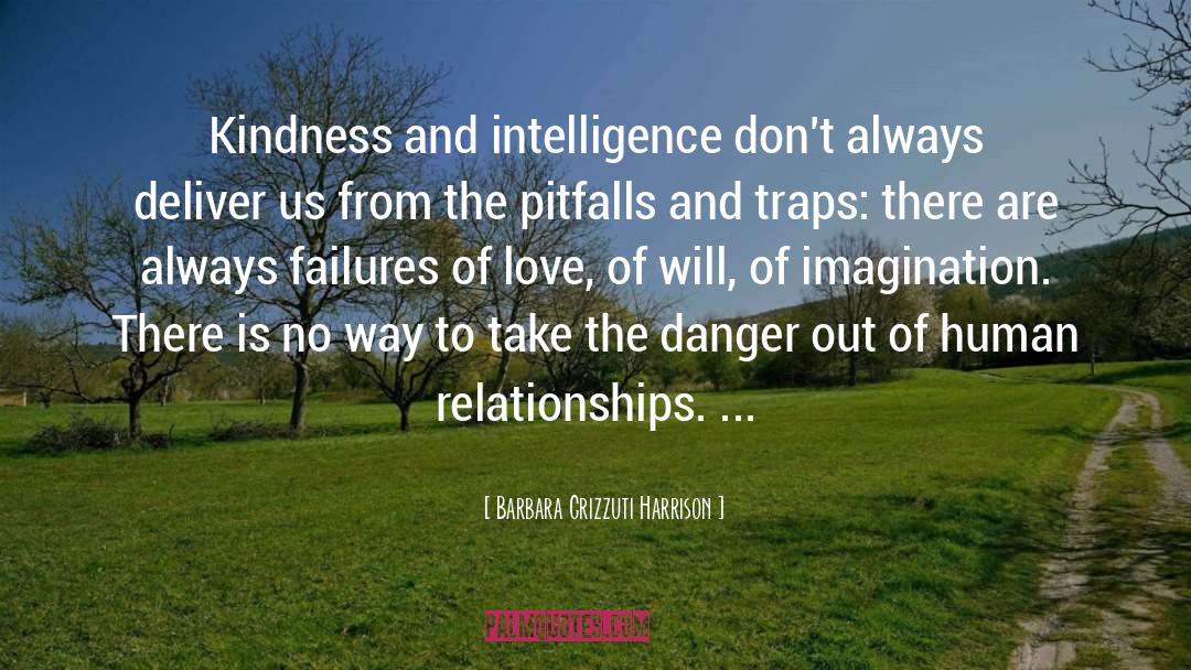 Barbara Grizzuti Harrison Quotes: Kindness and intelligence don't always