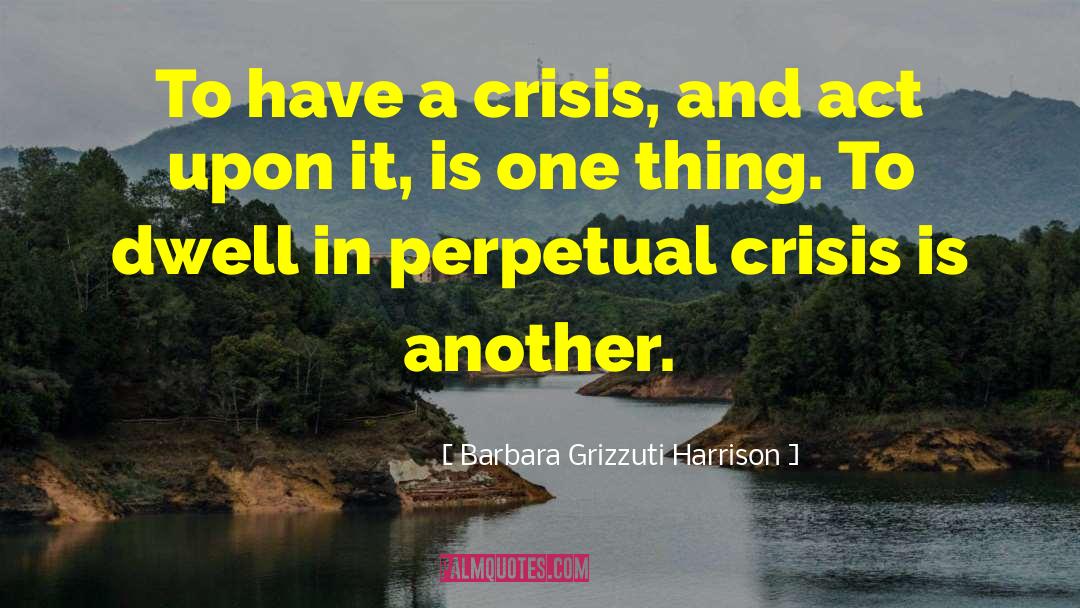 Barbara Grizzuti Harrison Quotes: To have a crisis, and