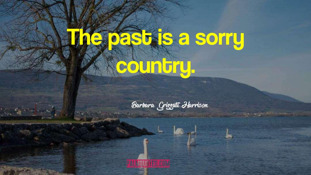 Barbara Grizzuti Harrison Quotes: The past is a sorry