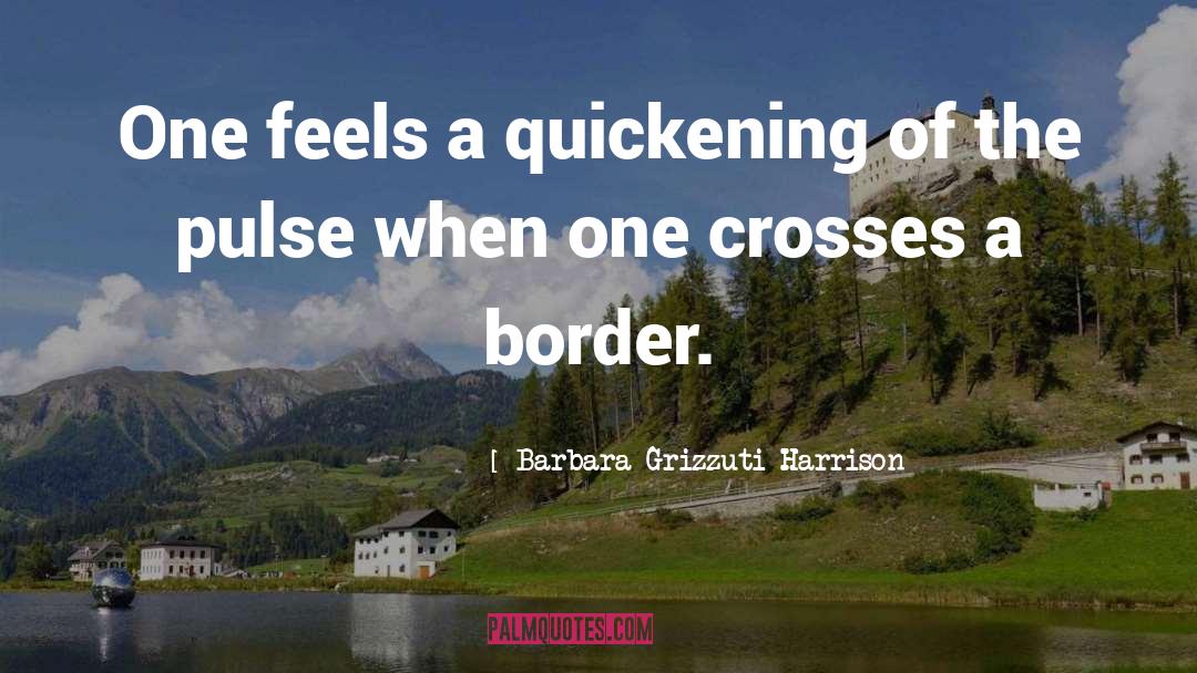 Barbara Grizzuti Harrison Quotes: One feels a quickening of