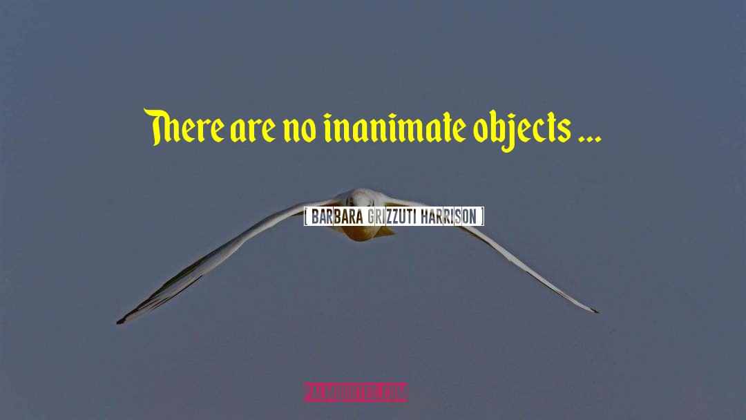 Barbara Grizzuti Harrison Quotes: There are no inanimate objects