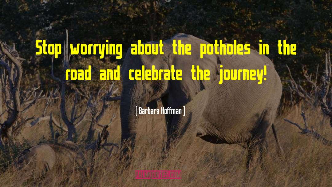 Barbara Hoffman Quotes: Stop worrying about the potholes