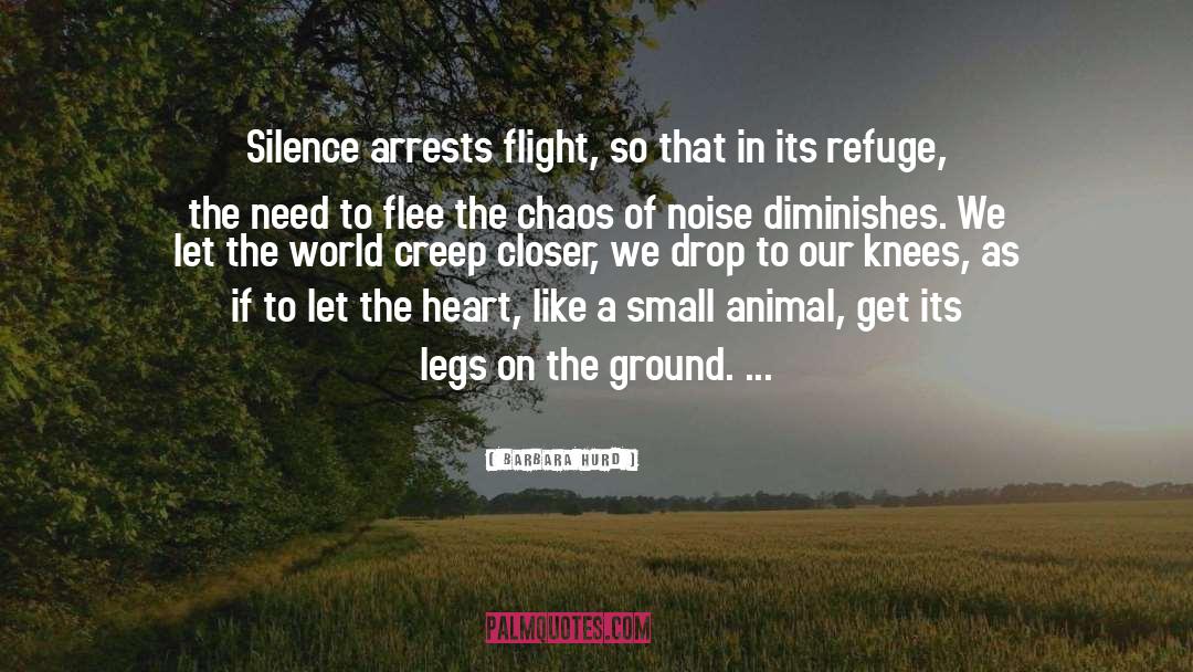 Barbara Hurd Quotes: Silence arrests flight, so that