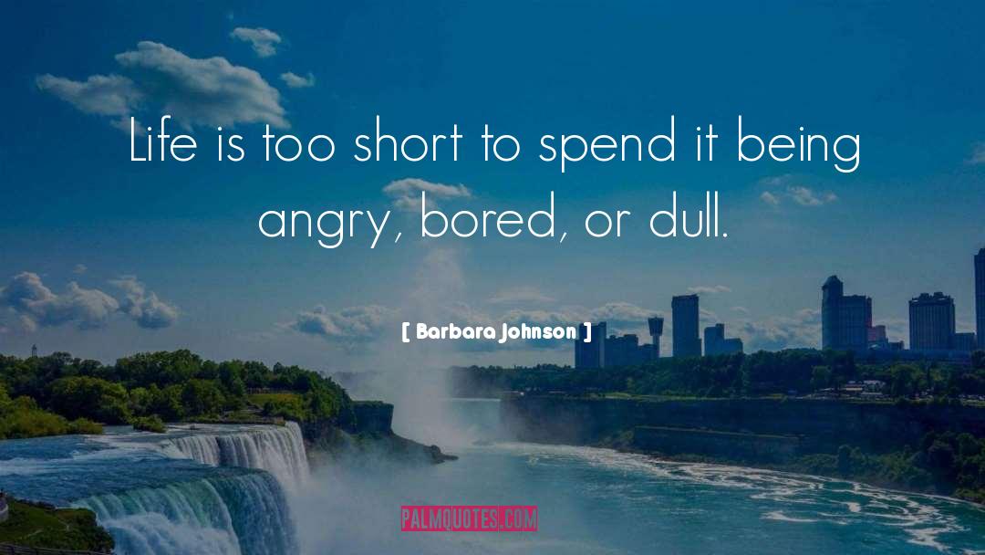 Barbara Johnson Quotes: Life is too short to