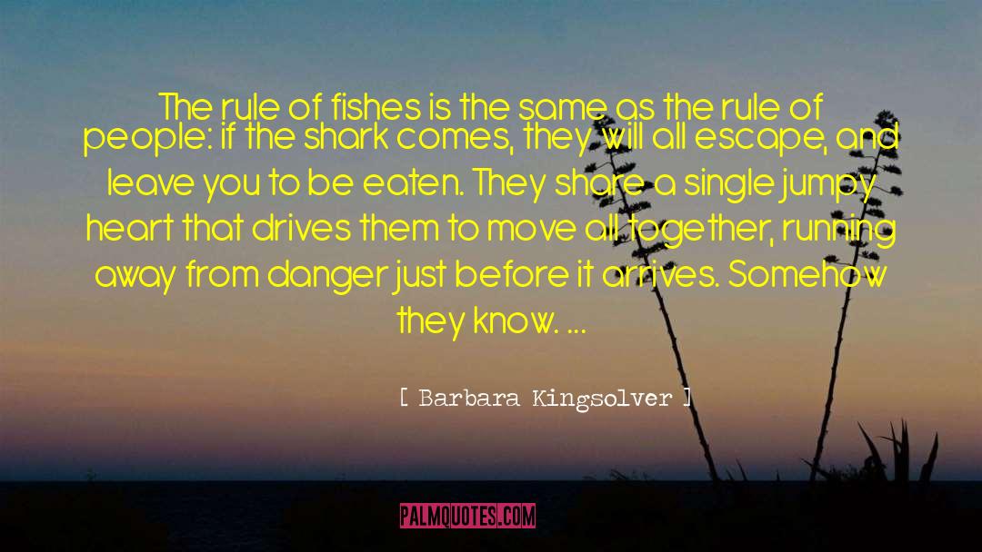 Barbara Kingsolver Quotes: The rule of fishes is