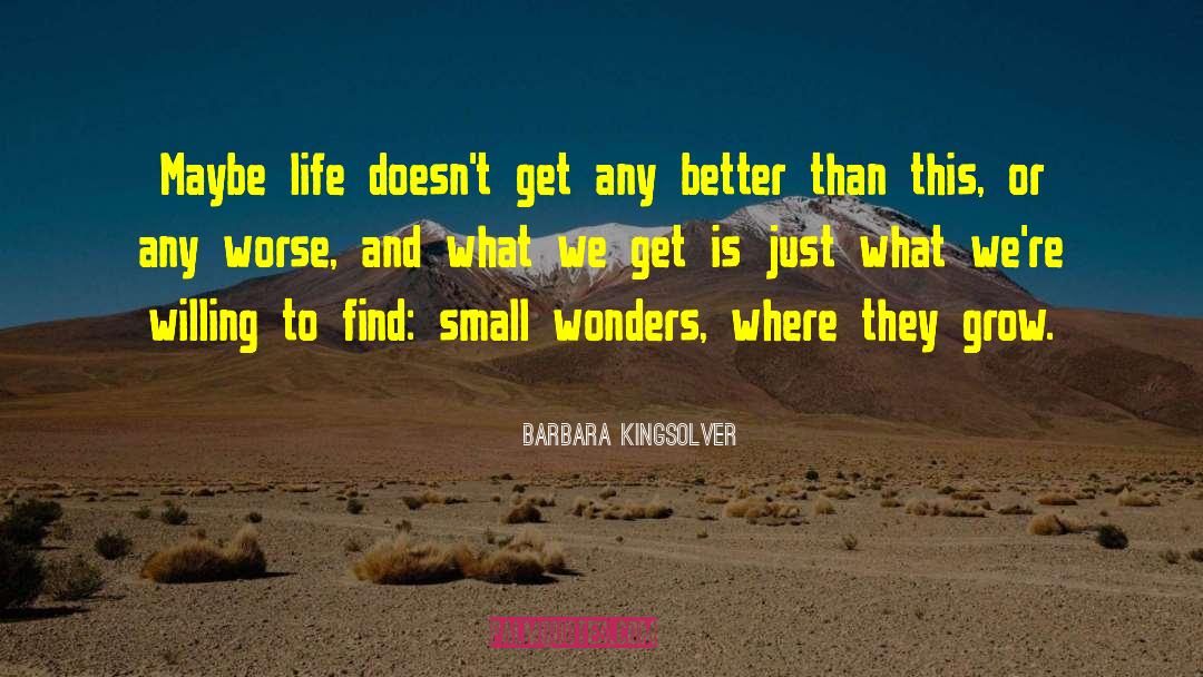 Barbara Kingsolver Quotes: Maybe life doesn't get any