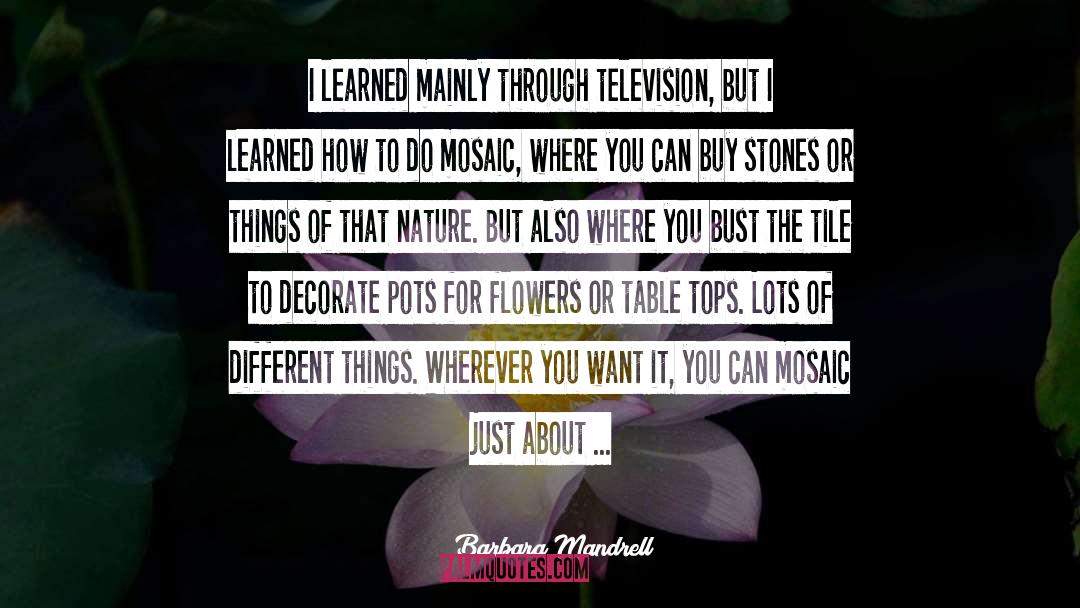 Barbara Mandrell Quotes: I learned mainly through television,