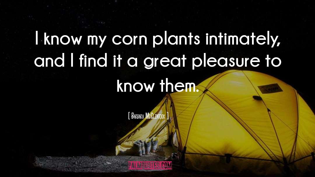 Barbara McClintock Quotes: I know my corn plants