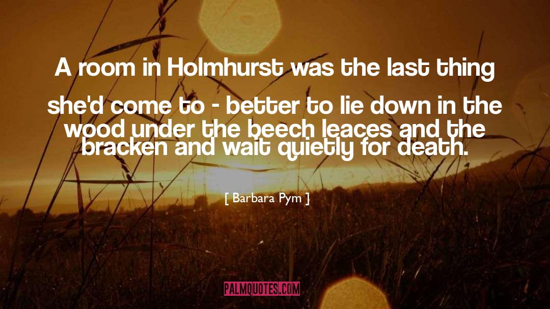 Barbara Pym Quotes: A room in Holmhurst was