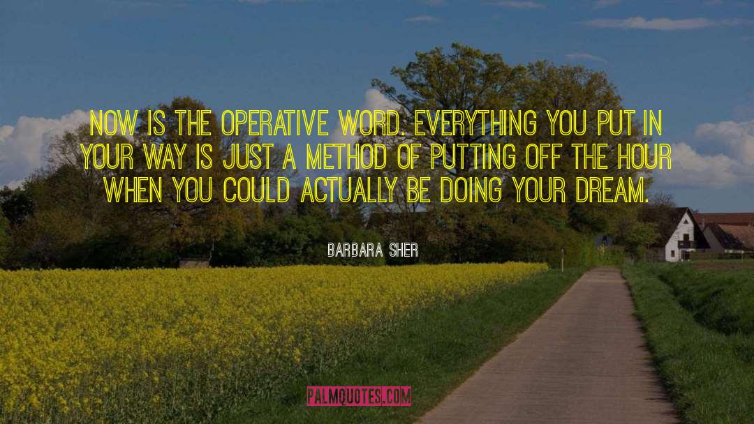 Barbara Sher Quotes: Now is the operative word.