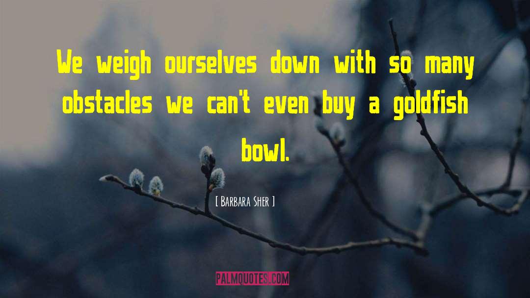 Barbara Sher Quotes: We weigh ourselves down with