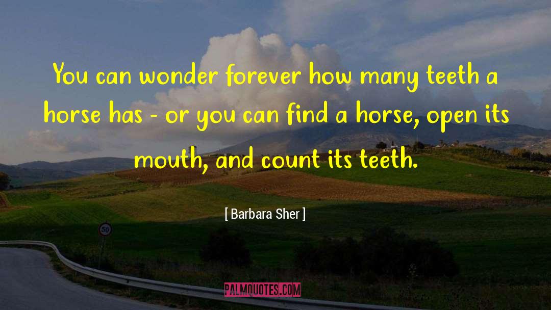 Barbara Sher Quotes: You can wonder forever how